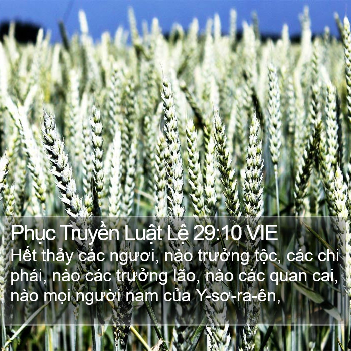 Phục Truyền Luật Lệ 29:10 VIE Bible Study