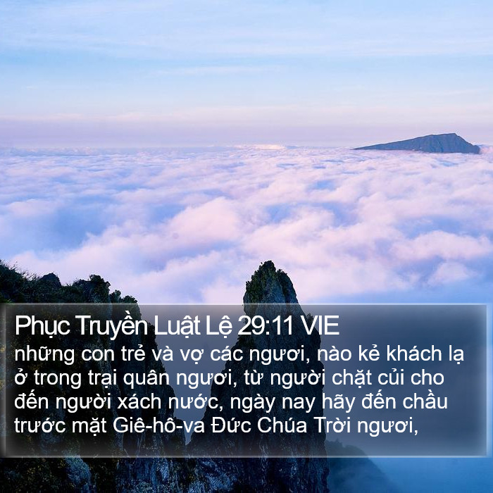 Phục Truyền Luật Lệ 29:11 VIE Bible Study