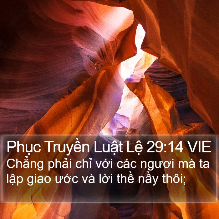 Phục Truyền Luật Lệ 29:14 VIE Bible Study