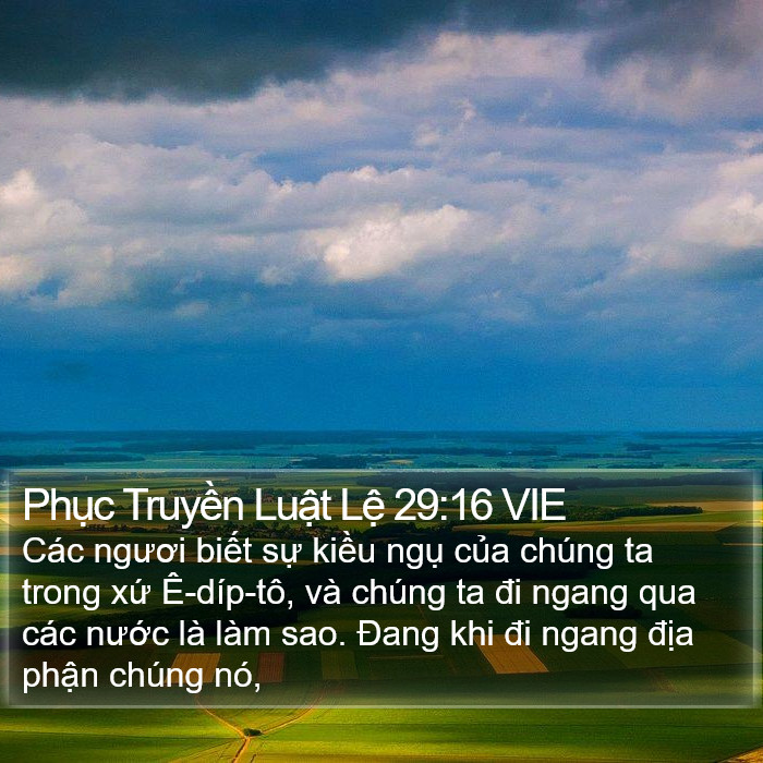 Phục Truyền Luật Lệ 29:16 VIE Bible Study