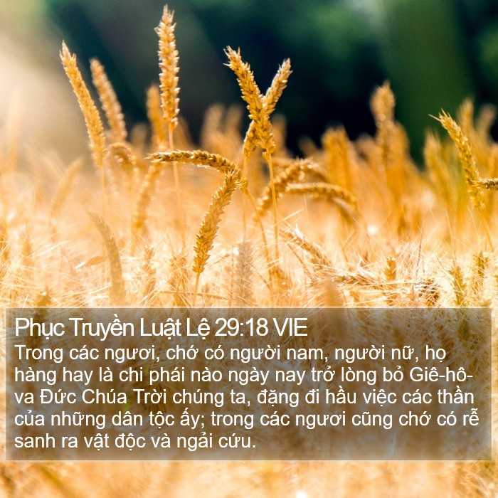 Phục Truyền Luật Lệ 29:18 VIE Bible Study