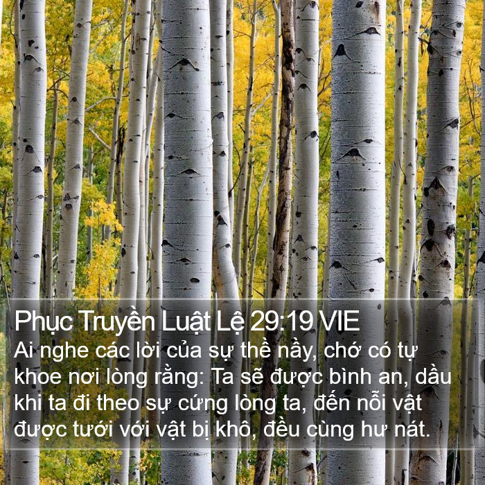 Phục Truyền Luật Lệ 29:19 VIE Bible Study