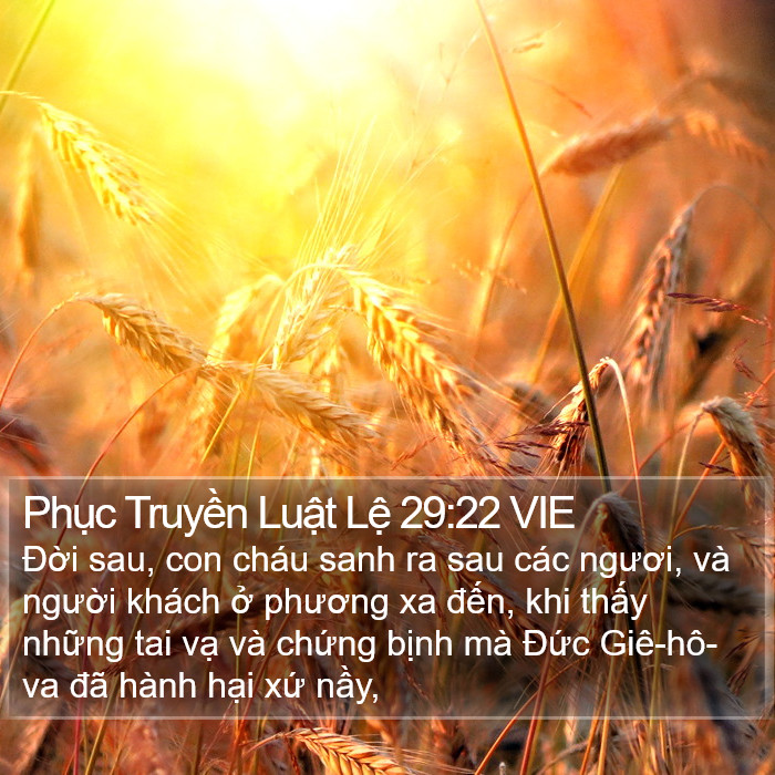 Phục Truyền Luật Lệ 29:22 VIE Bible Study