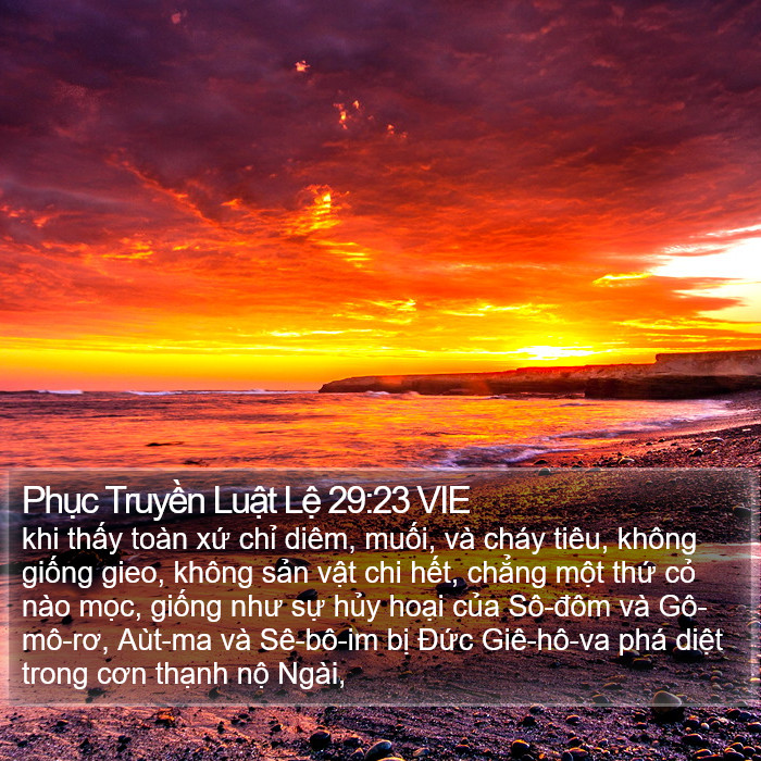 Phục Truyền Luật Lệ 29:23 VIE Bible Study