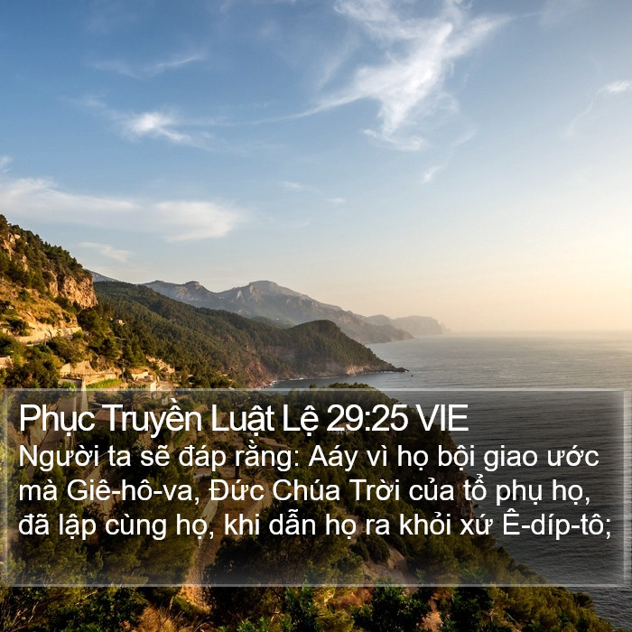 Phục Truyền Luật Lệ 29:25 VIE Bible Study