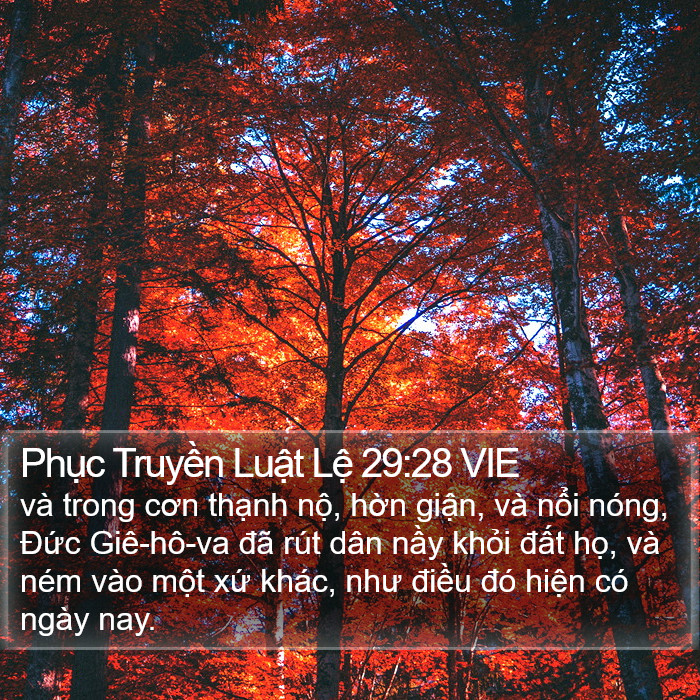 Phục Truyền Luật Lệ 29:28 VIE Bible Study