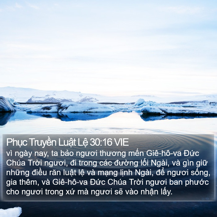 Phục Truyền Luật Lệ 30:16 VIE Bible Study