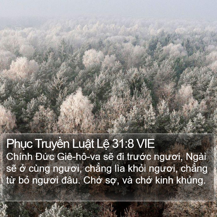 Phục Truyền Luật Lệ 31:8 VIE Bible Study