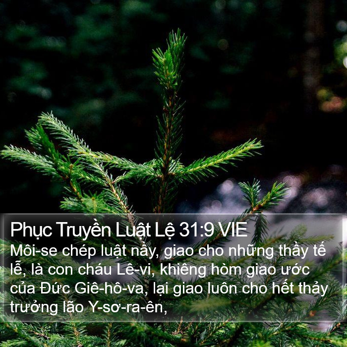 Phục Truyền Luật Lệ 31:9 VIE Bible Study