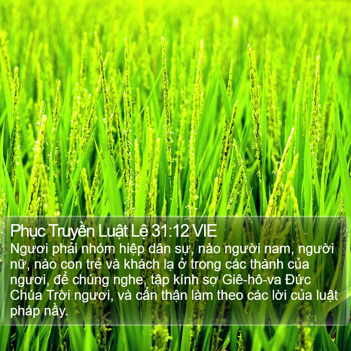 Phục Truyền Luật Lệ 31:12 VIE Bible Study