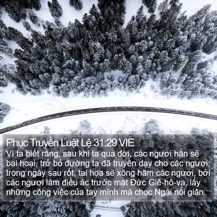 Phục Truyền Luật Lệ 31:29 VIE Bible Study