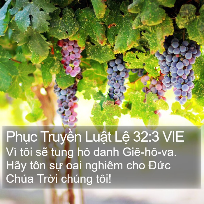 Phục Truyền Luật Lệ 32:3 VIE Bible Study