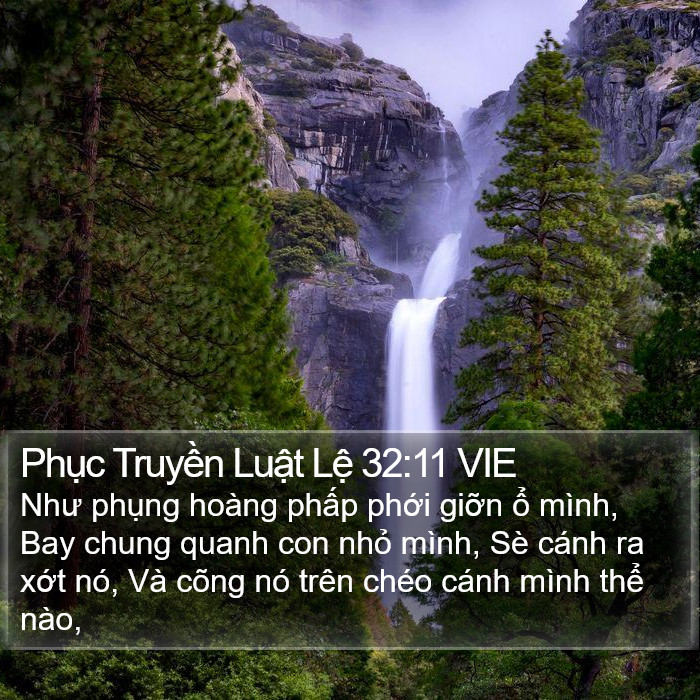 Phục Truyền Luật Lệ 32:11 VIE Bible Study