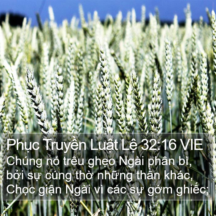 Phục Truyền Luật Lệ 32:16 VIE Bible Study