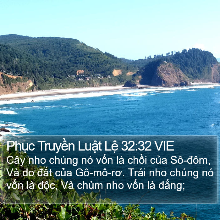 Phục Truyền Luật Lệ 32:32 VIE Bible Study