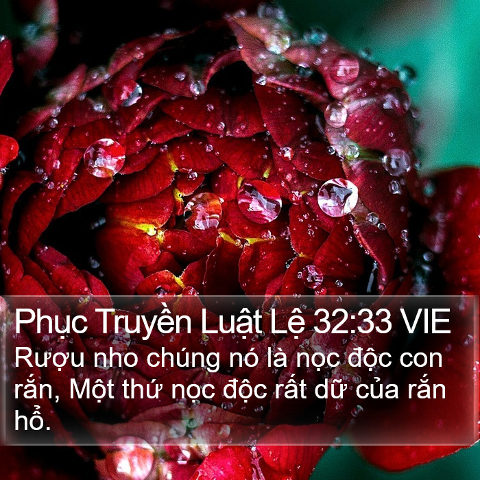 Phục Truyền Luật Lệ 32:33 VIE Bible Study