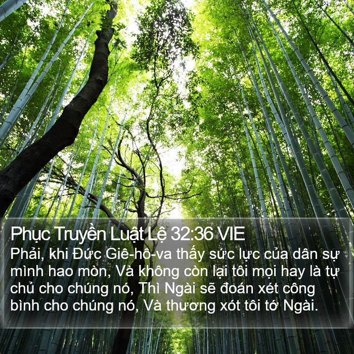 Phục Truyền Luật Lệ 32:36 VIE Bible Study