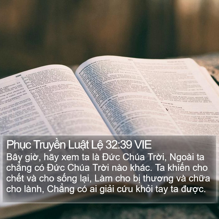 Phục Truyền Luật Lệ 32:39 VIE Bible Study