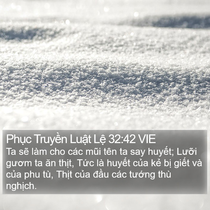 Phục Truyền Luật Lệ 32:42 VIE Bible Study