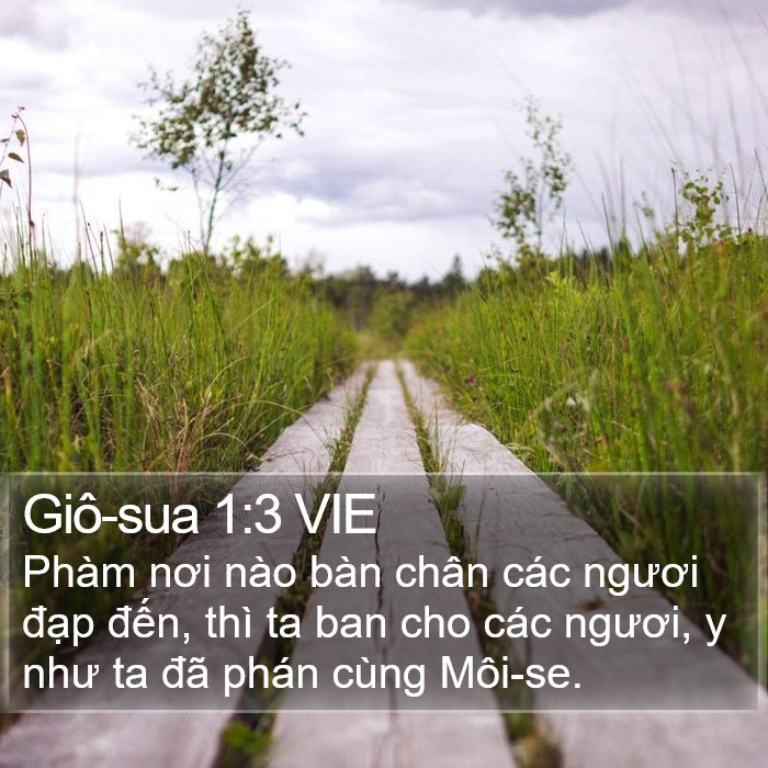 Giô-sua 1:3 VIE Bible Study