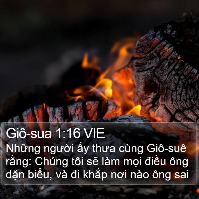 Giô-sua 1:16 VIE Bible Study