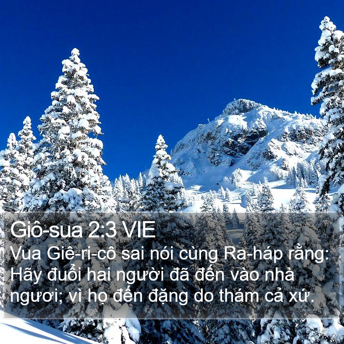 Giô-sua 2:3 VIE Bible Study
