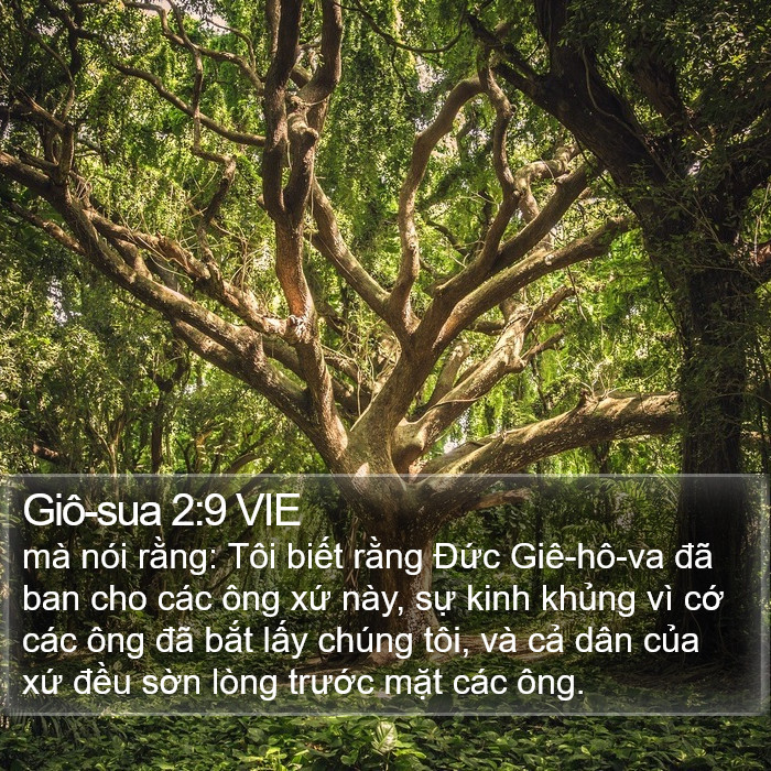 Giô-sua 2:9 VIE Bible Study