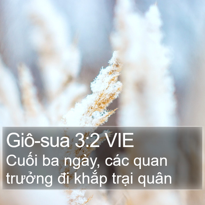 Giô-sua 3:2 VIE Bible Study