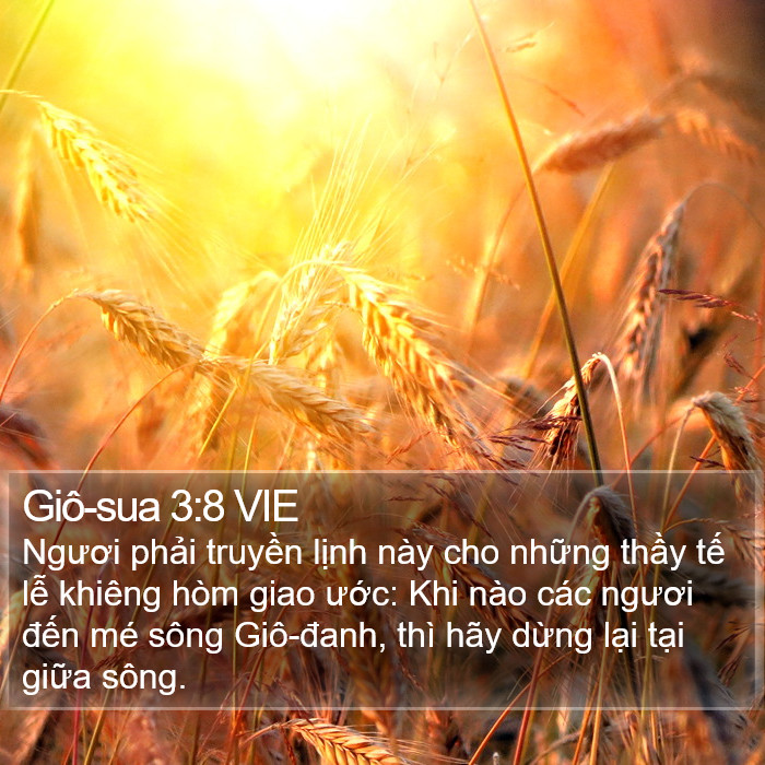 Giô-sua 3:8 VIE Bible Study