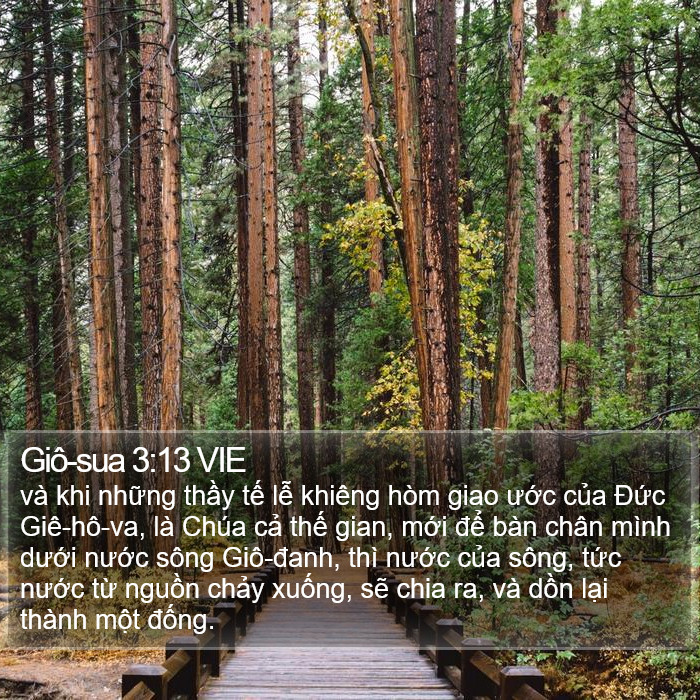 Giô-sua 3:13 VIE Bible Study