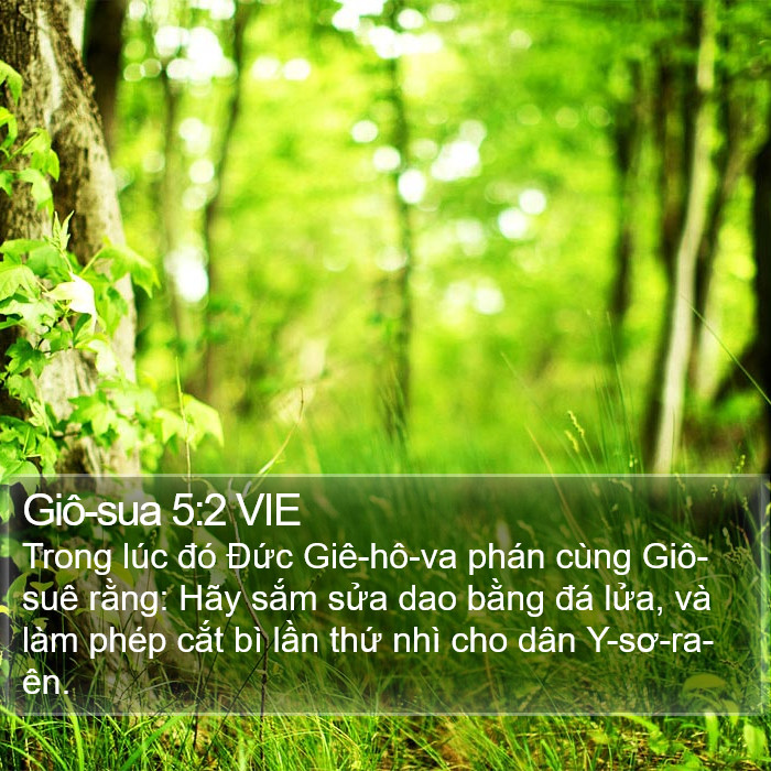Giô-sua 5:2 VIE Bible Study