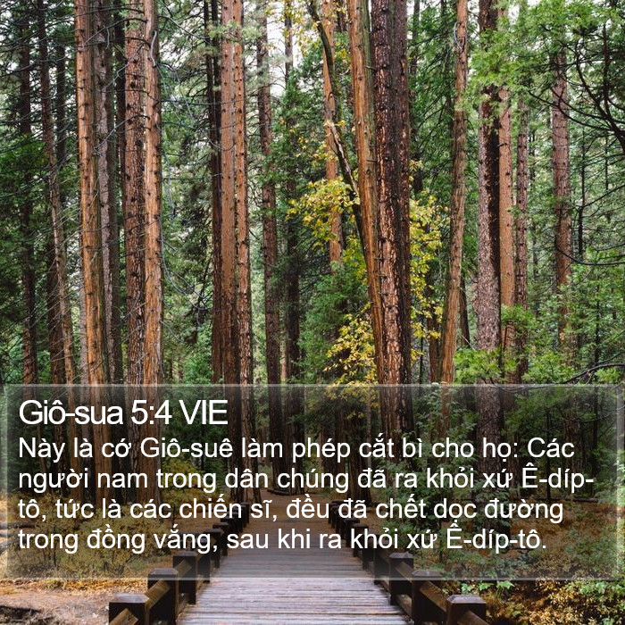 Giô-sua 5:4 VIE Bible Study