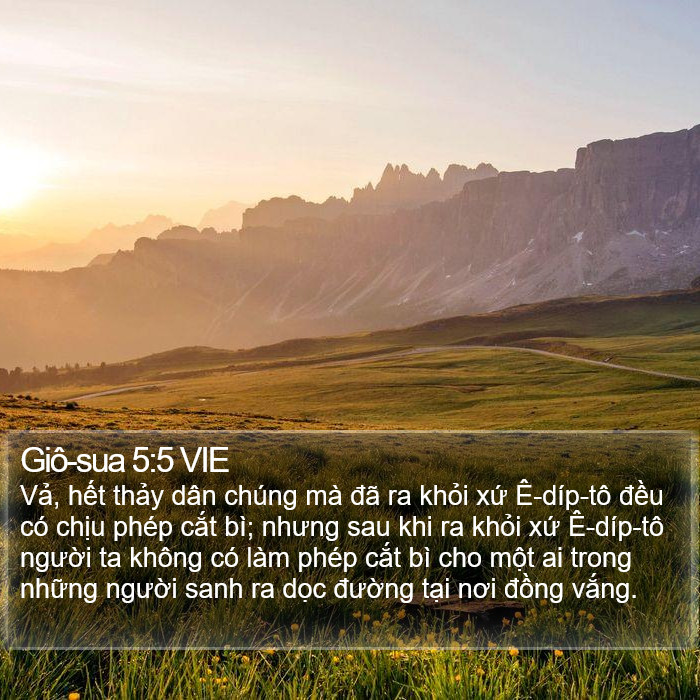 Giô-sua 5:5 VIE Bible Study