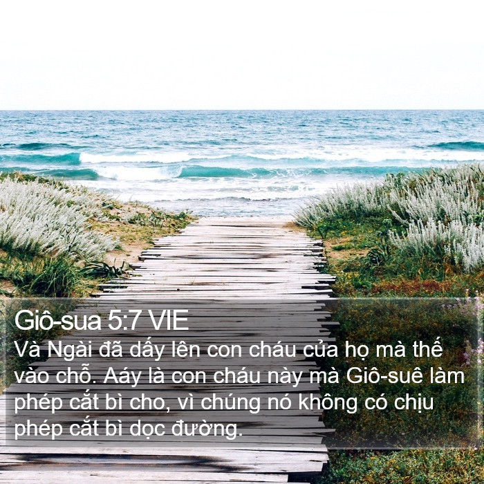 Giô-sua 5:7 VIE Bible Study
