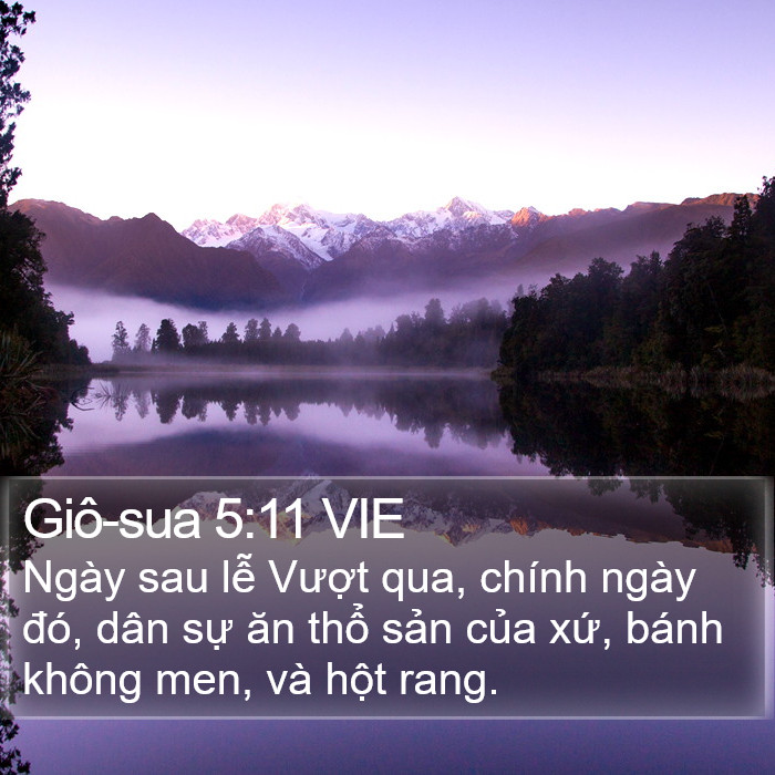 Giô-sua 5:11 VIE Bible Study