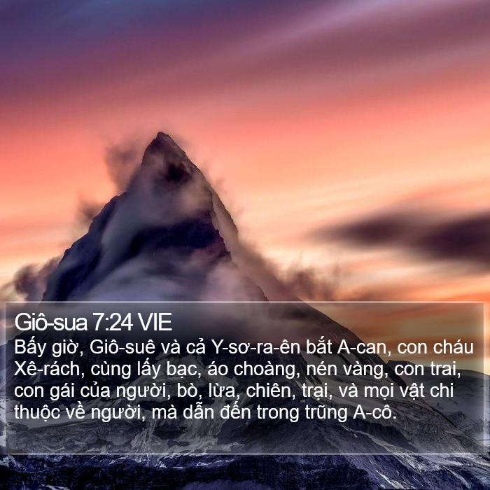 Giô-sua 7:24 VIE Bible Study