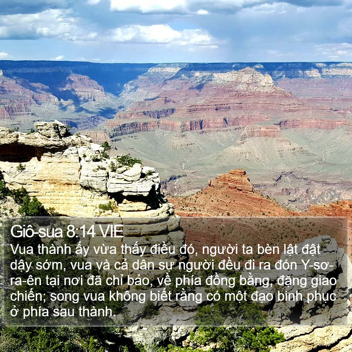Giô-sua 8:14 VIE Bible Study