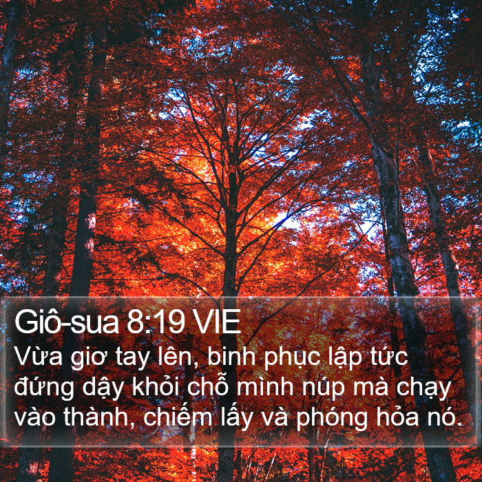 Giô-sua 8:19 VIE Bible Study