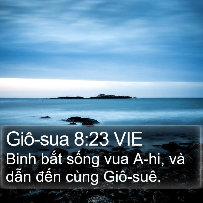 Giô-sua 8:23 VIE Bible Study