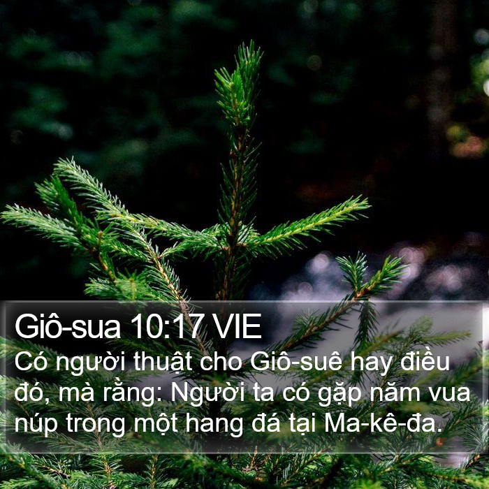 Giô-sua 10:17 VIE Bible Study