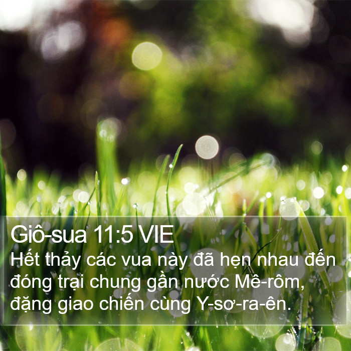 Giô-sua 11:5 VIE Bible Study