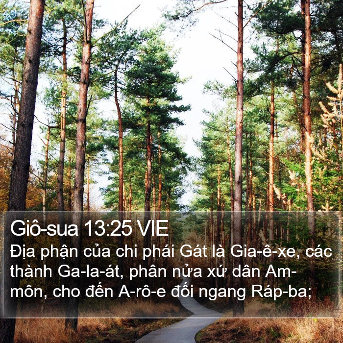 Giô-sua 13:25 VIE Bible Study