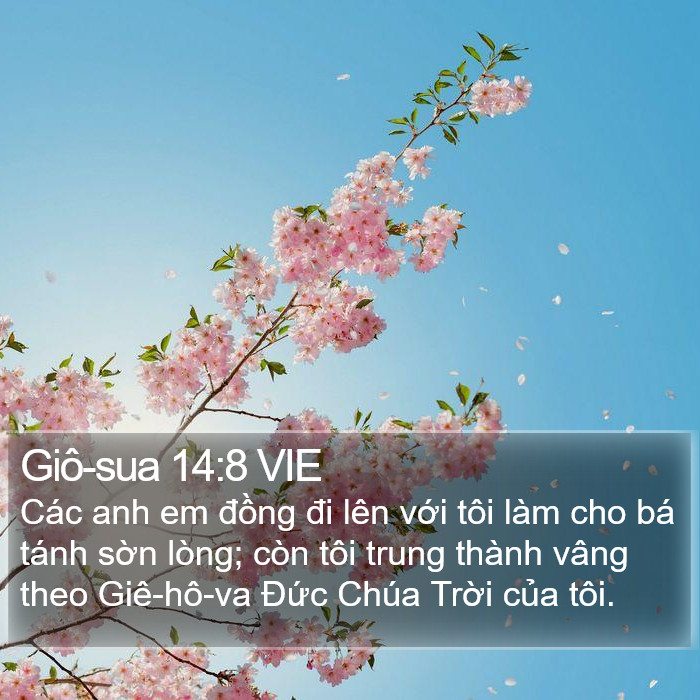 Giô-sua 14:8 VIE Bible Study
