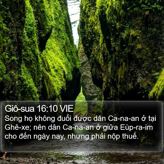 Giô-sua 16:10 VIE Bible Study