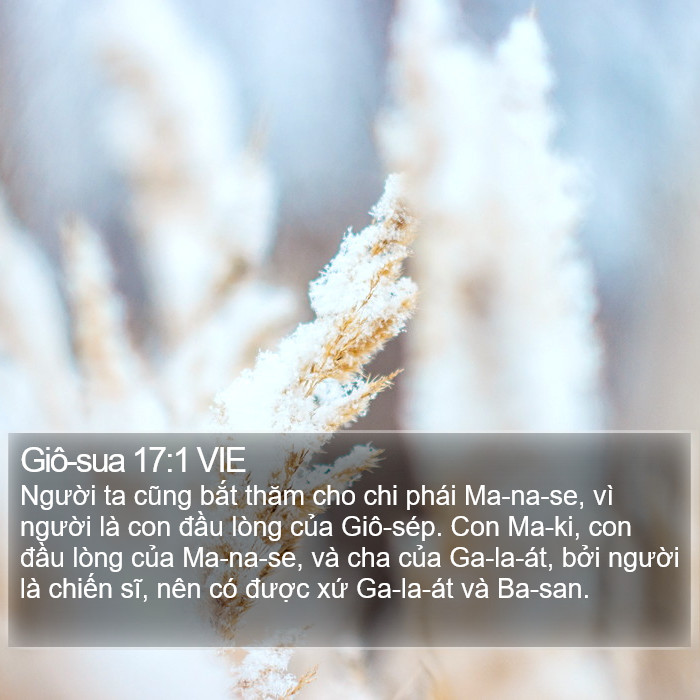 Giô-sua 17:1 VIE Bible Study