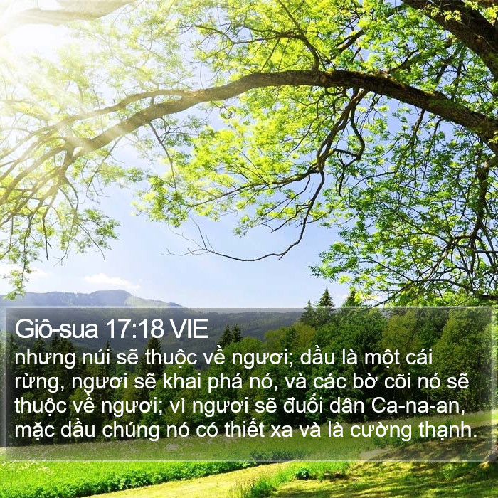 Giô-sua 17:18 VIE Bible Study