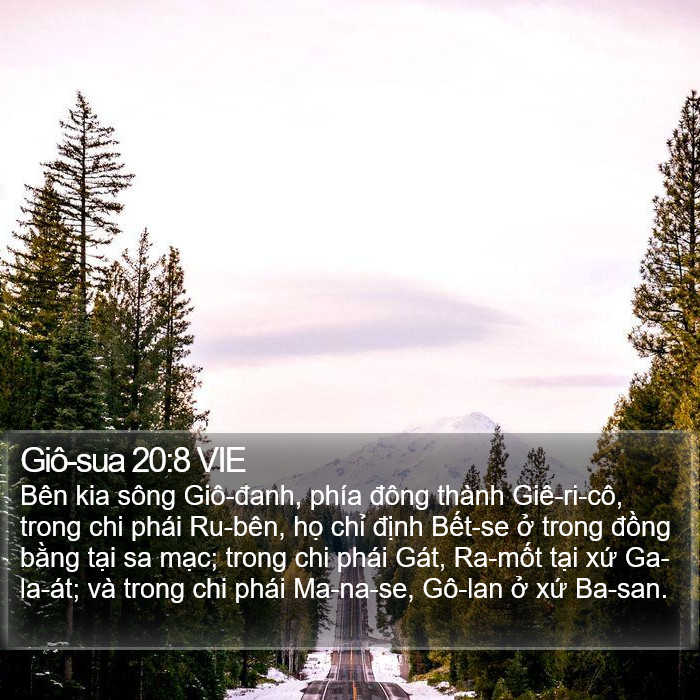 Giô-sua 20:8 VIE Bible Study