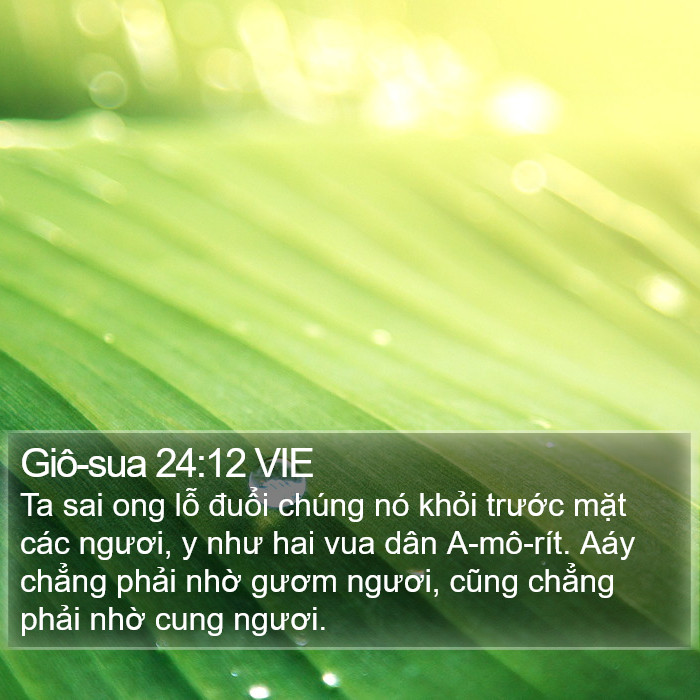 Giô-sua 24:12 VIE Bible Study