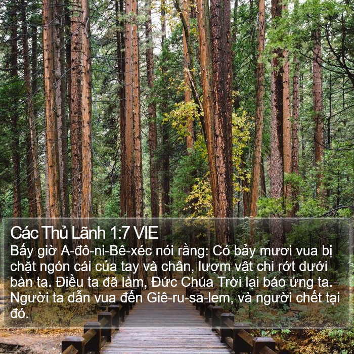 Các Thủ Lãnh 1:7 VIE Bible Study