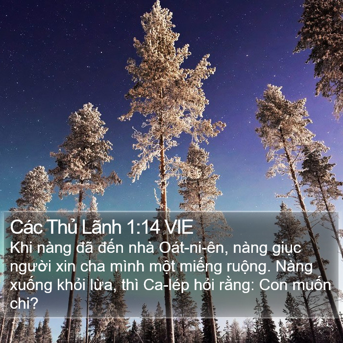 Các Thủ Lãnh 1:14 VIE Bible Study